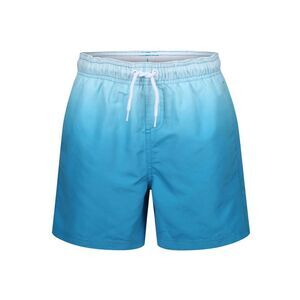 RIPT Essentials Mens Dip Dye Swim Shorts / Blue